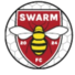蜂群FC