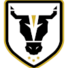 公牛学院女足